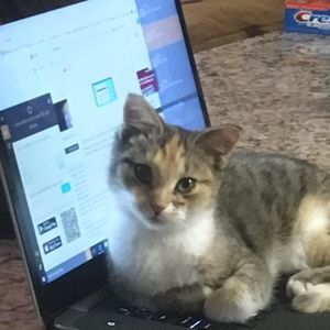 Meet your Posher, Cindy